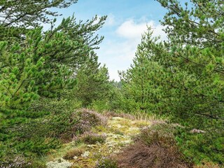 Holiday house Kirkeby  22