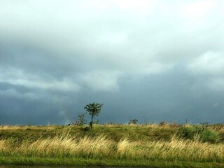 Vakantiehuis Handbjerg  31