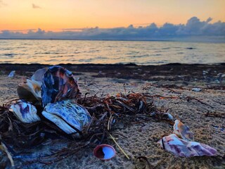 Casa per le vacanze Handbjerg  2