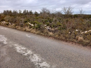 Ferienhaus Löttorp  17