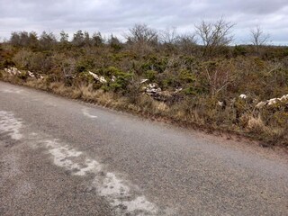 Vakantiehuis Löttorp  11
