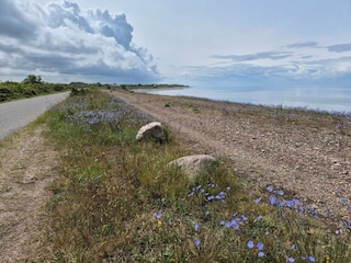 Ferienhaus Löttorp  13