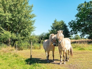 Ferienhaus Ørsted  10