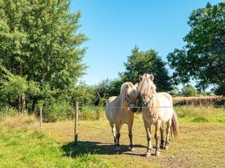 Holiday house Ørsted  10
