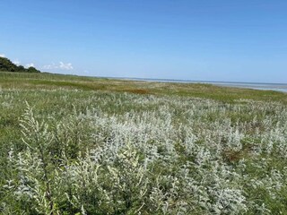 Casa per le vacanze Ørsted  31