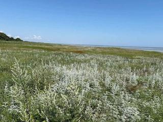 Ferienhaus Ørsted  45