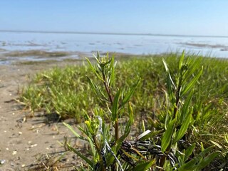 Ferienhaus Ørsted  33