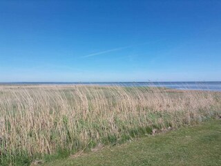 Vakantiehuis Ørsted  36