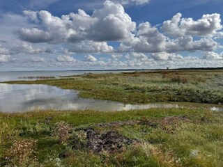 Casa per le vacanze Ørsted  43