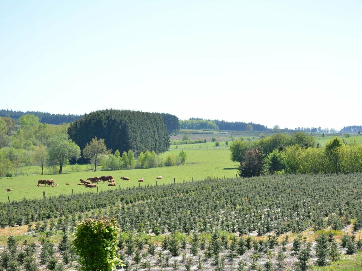 Cottage Paliseul Außenaufnahme 1