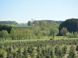 Casa vacanze Paliseul Ambiente 26