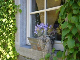 Cottage Paliseul  30
