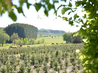 Holiday cottage Paliseul Environment 27