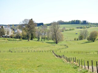 Vakantiehuisje Paliseul Omgeving 28