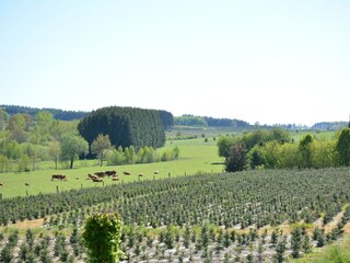 Casa de vacaciones Paliseul Grabación al aire libre 8