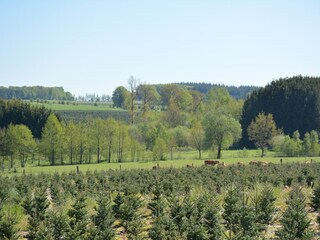 Vakantiehuisje Paliseul Omgeving 25