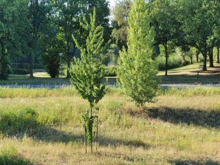 Bungalow Holten Environnement 30