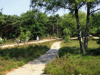 Bungalow Holten Environnement 33