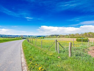 Vakantiehuis Daverdisse Omgeving 35