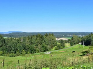 Apartment Mostek Environment 34