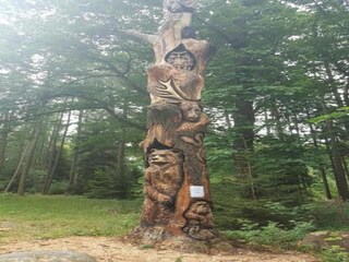 Appartement Mostek Omgeving 30