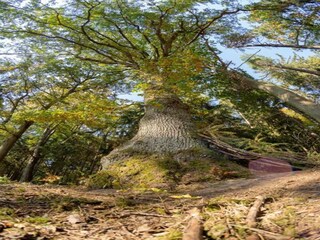 Appartamento Mostek Ambiente 17