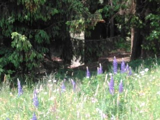 Appartamento Mostek Ambiente 31