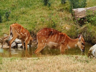 Appartement Mostek Environnement 32