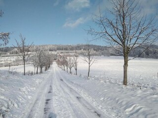 Apartment Mostek Environment 26