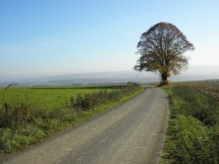 Chalet Barvaux-sur-Ourthe Umgebung 29