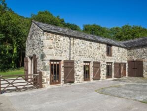 Jolie maison de vacances à Tavistock avec cheminée - Tavistock - image1