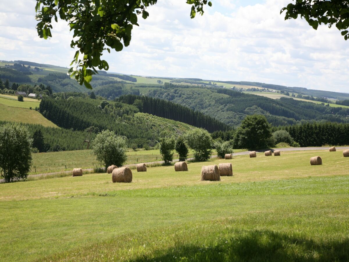 Ferienhaus La Roche-en-Ardenne Umgebung 27