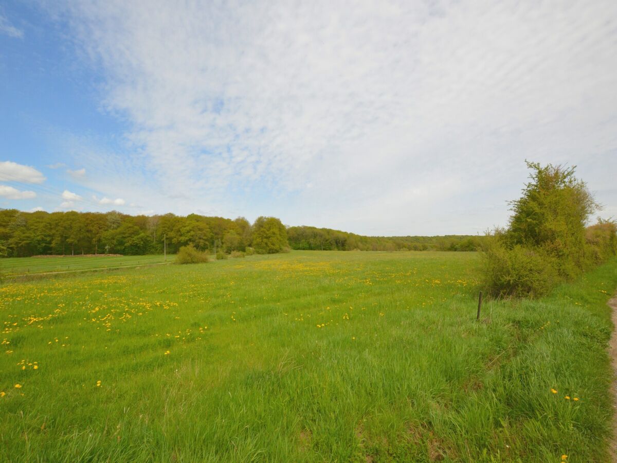 Bauernhof Chimay Umgebung 40