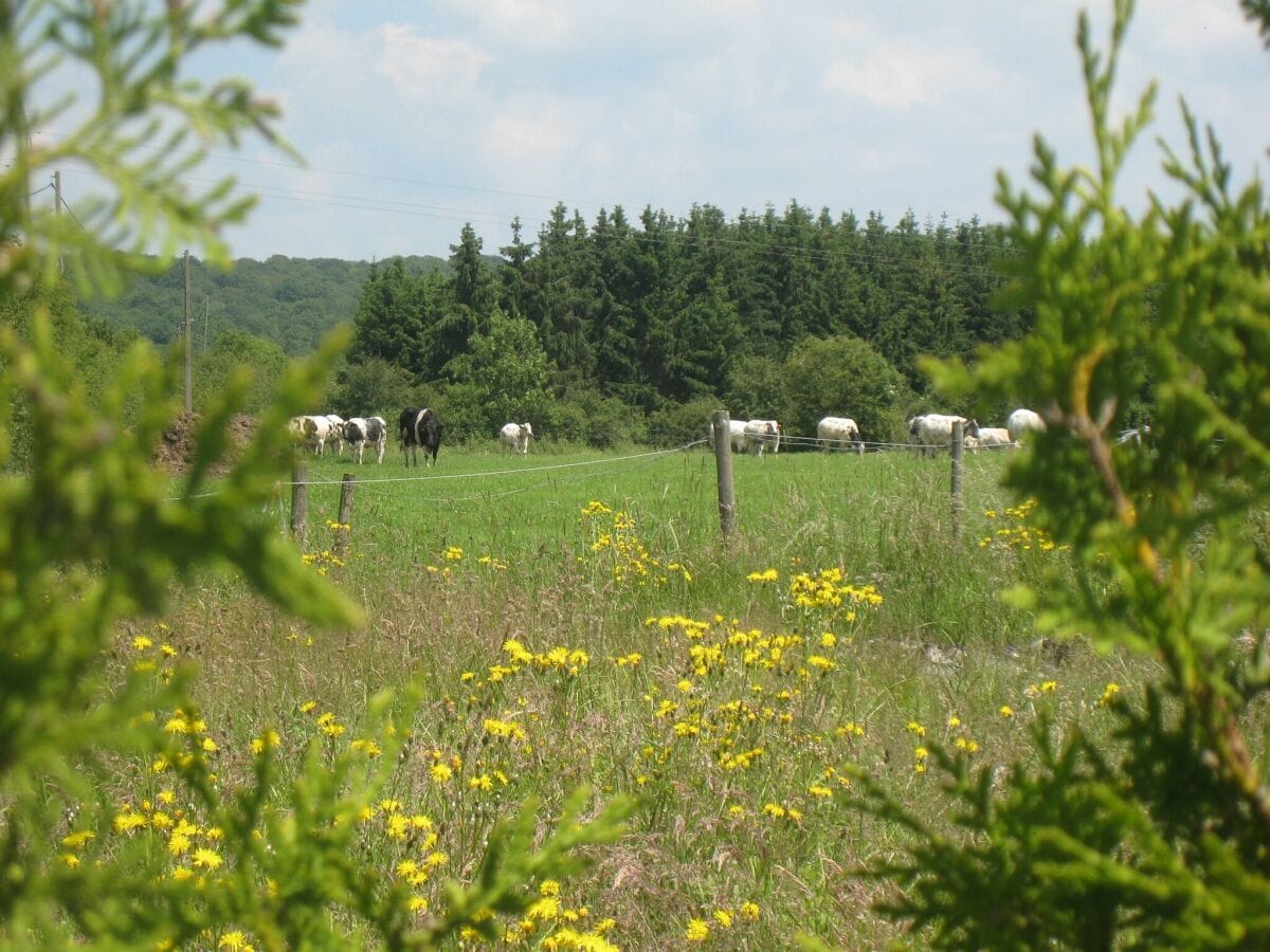 Bauernhof Chimay Umgebung 41