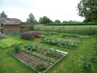 Boerderij Chimay Buitenaudio-opname 10