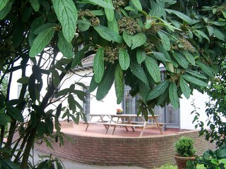 Casa de campo Poperinge  19