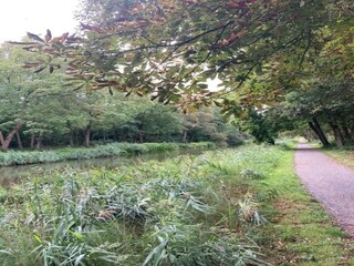 Cottage Poperinge Environment 33