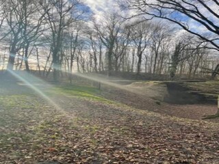 Cottage Poperinge Environment 20