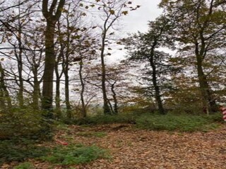 Cottage Poperinge Environment 35