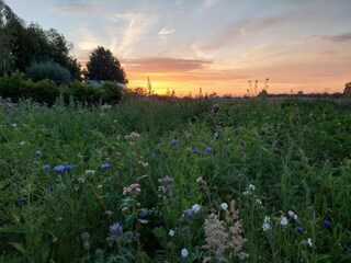 Casa de campo Poperinge Entorno 27
