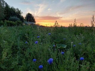 Landhaus Poperinge Umgebung 18