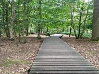 Casale Poperinge Ambiente 27