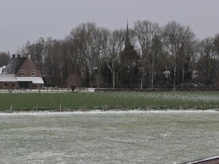 Type de propriété : Chalet Poperinge Environnement 41