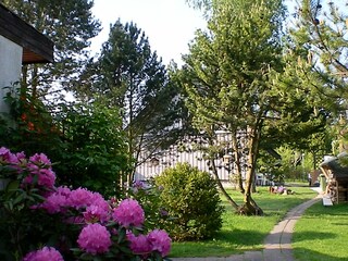 The garden at the holiday property.