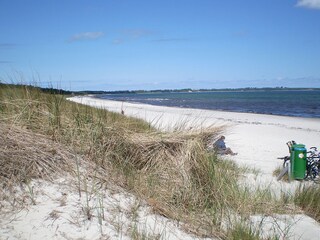 Endless walks along the beach.