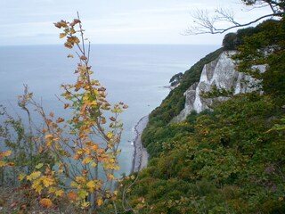 View of the sea from the Königsstuhl cliffs.