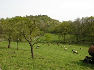 Casa de campo Litomerice Entorno 19