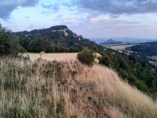 Type de propriété : Ferme Litomerice Environnement 28