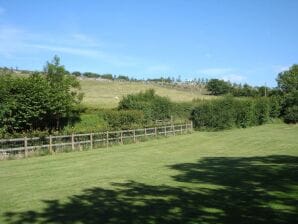 Vakantiehuis Prachtig terrein in Dartmoor National Park met bijna 300 m2 aan tuin en velden - Tavistock - image1