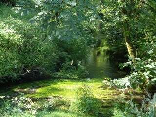 Vakantiehuis Tavistock Omgeving 32